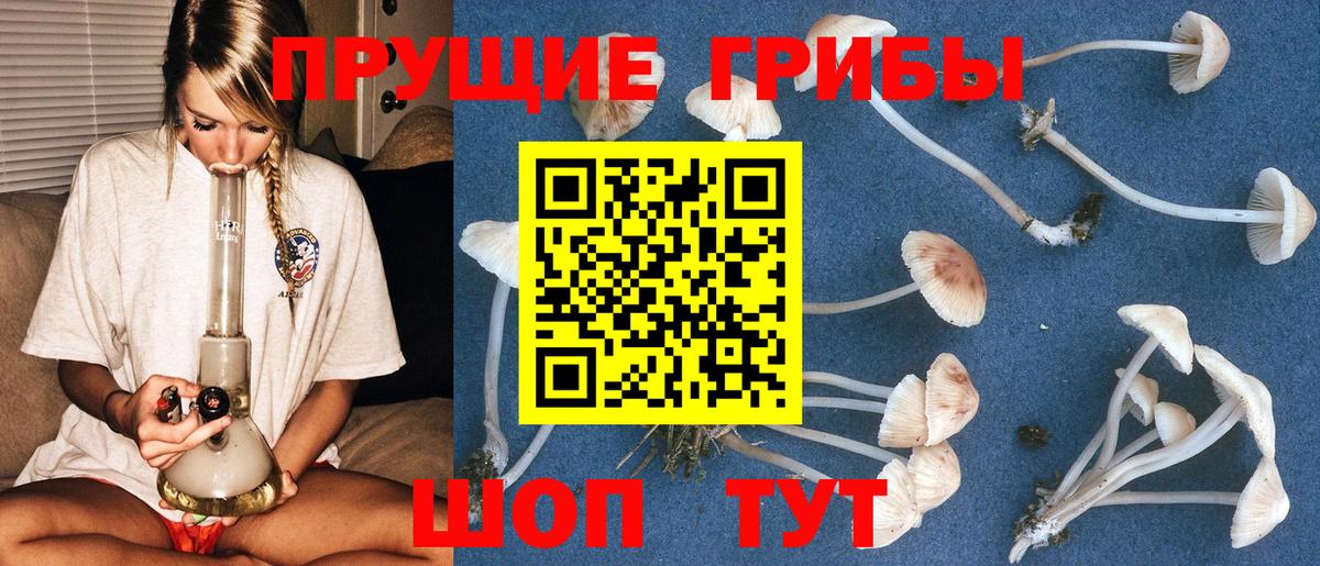 Галлюциногенные грибы GOLDEN TEACHER  Вход с VPN  купить наркотик  Псилоцибиновые грибы ЛСД  Урай 