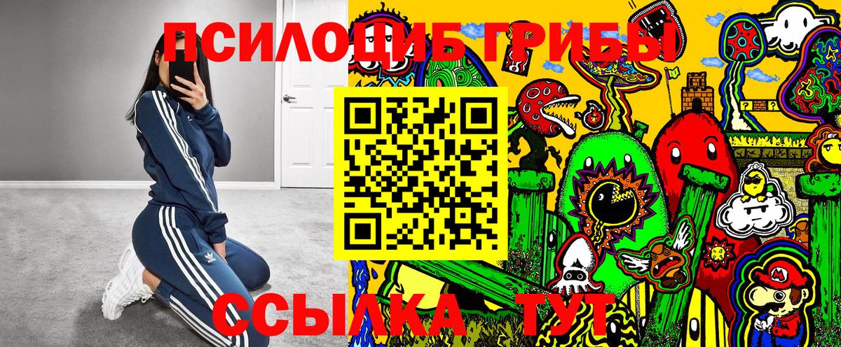 Псилоцибиновые грибы Psilocybe Урай